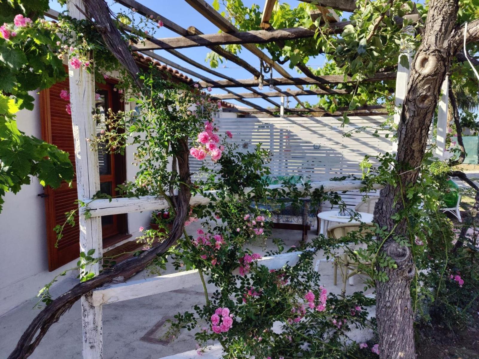 Casa Spezzara Villa Santa Domenica  Eksteriør billede
